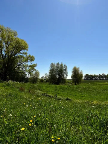 Blijvendgrasland06