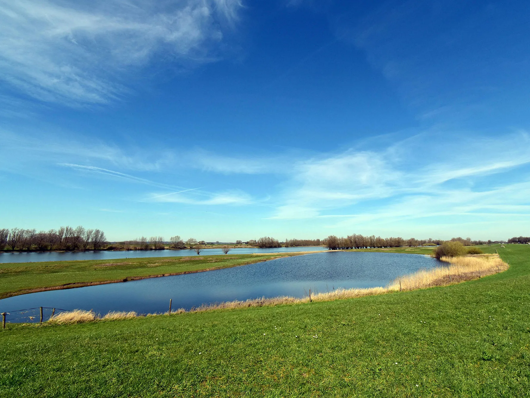 Blijvendgrasland09
