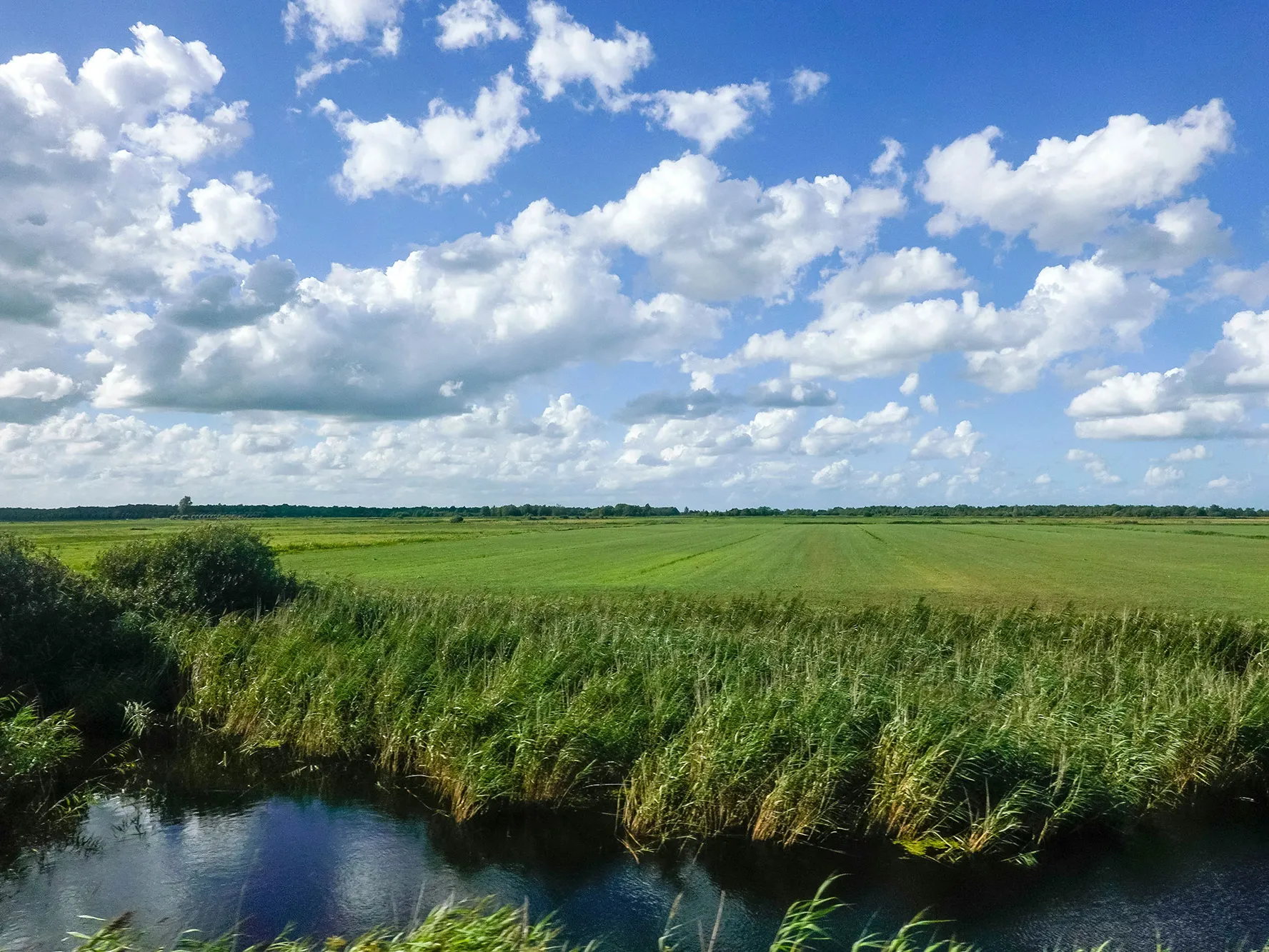 Blijvendgrasland10