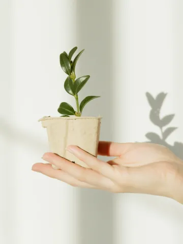 Nature Plant