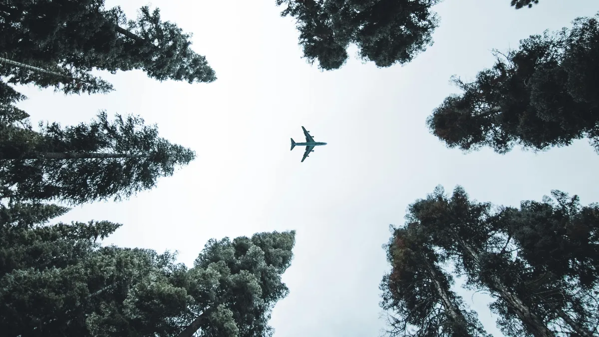 Vliegtuig met bomen