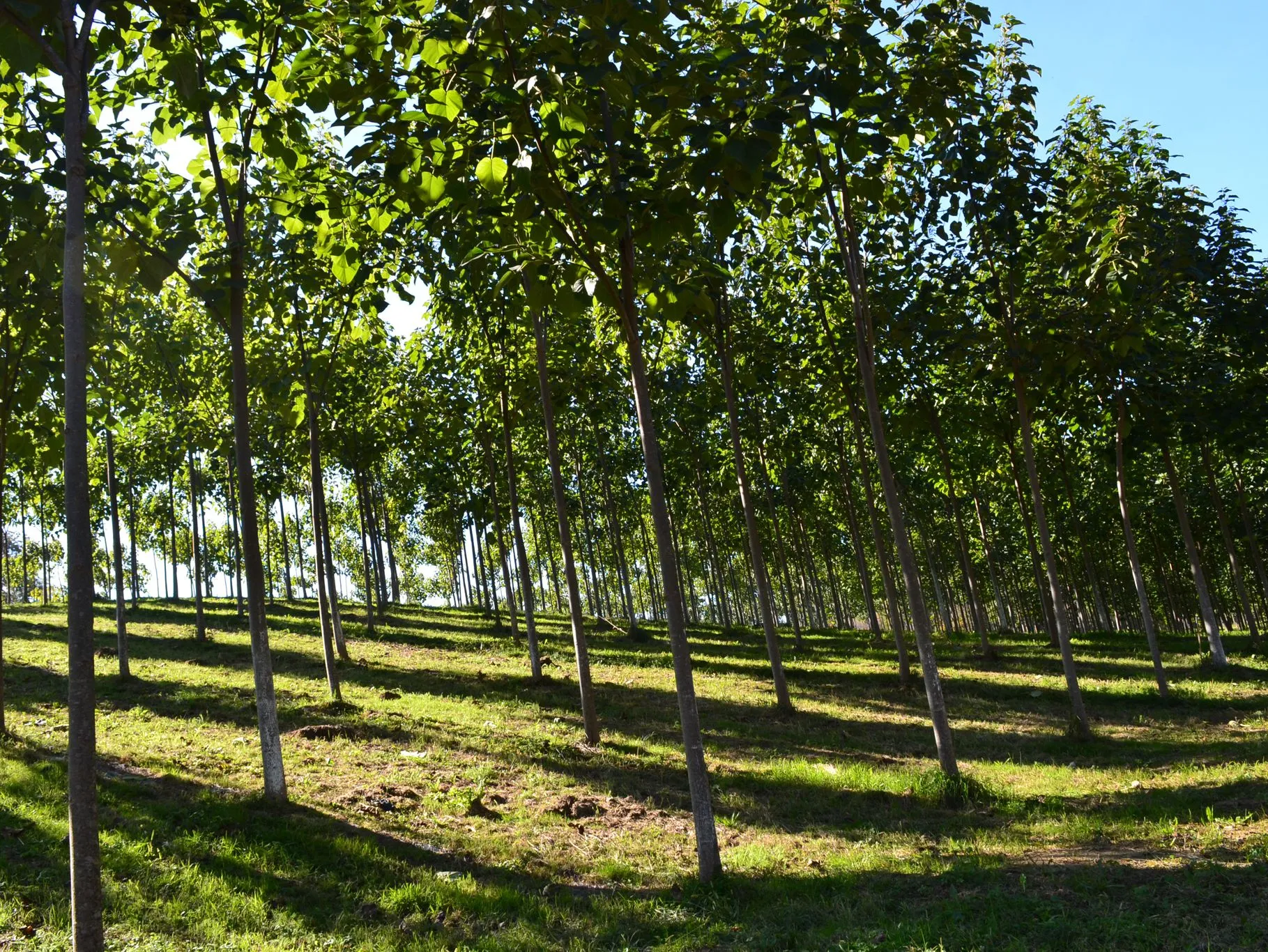Naturevest09