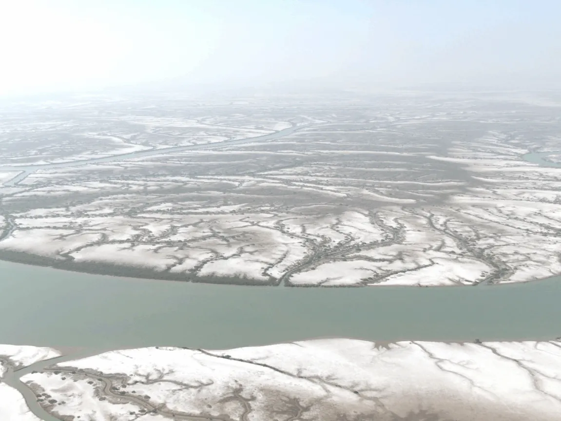 Delta Blue Carbon (1)