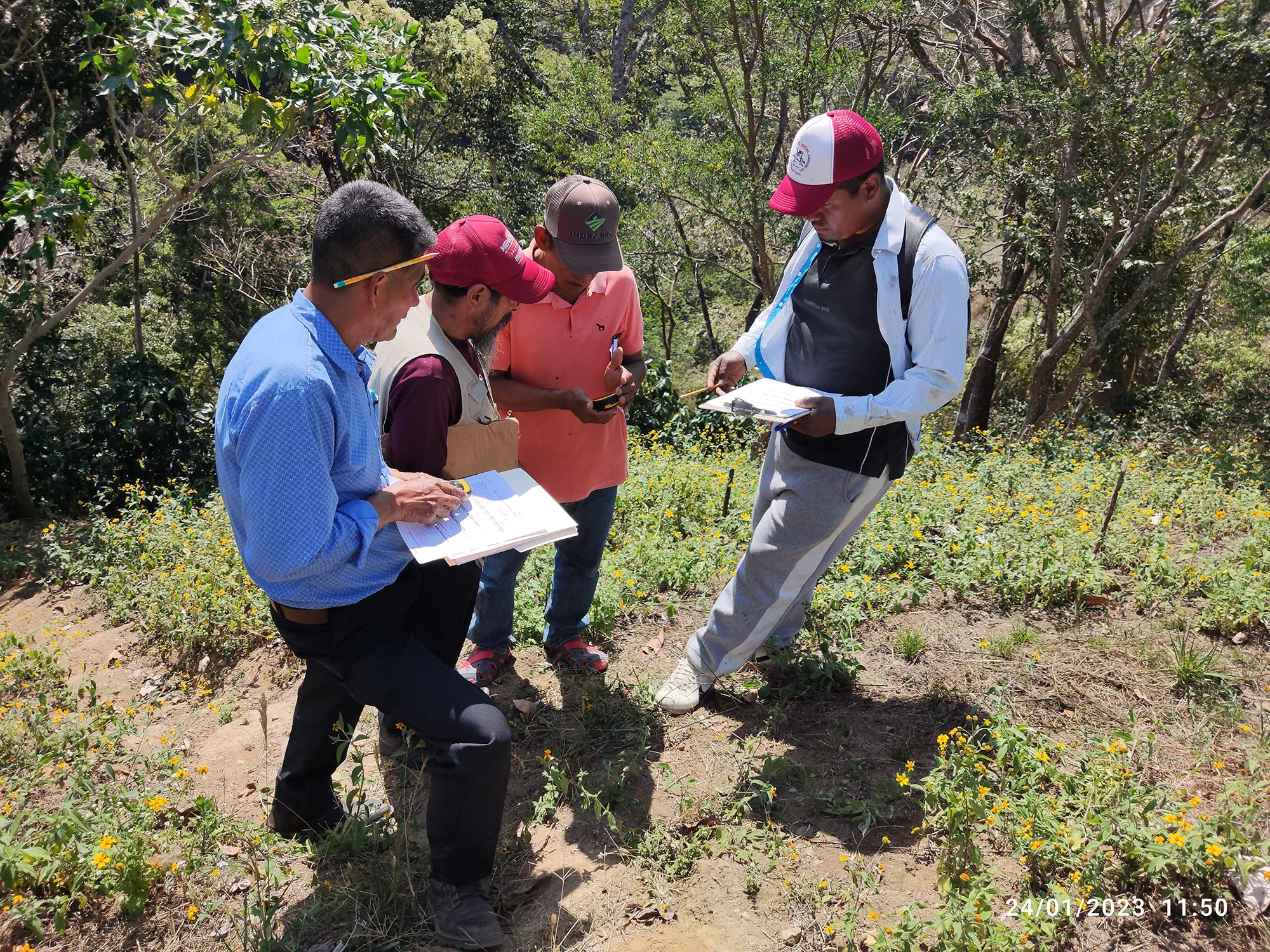 Tecnicos comunitarios
