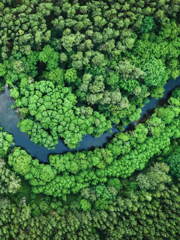 CO2-certificaten: natuur