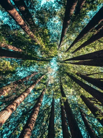 Casey Horner 4rdca5hblcs Unsplash